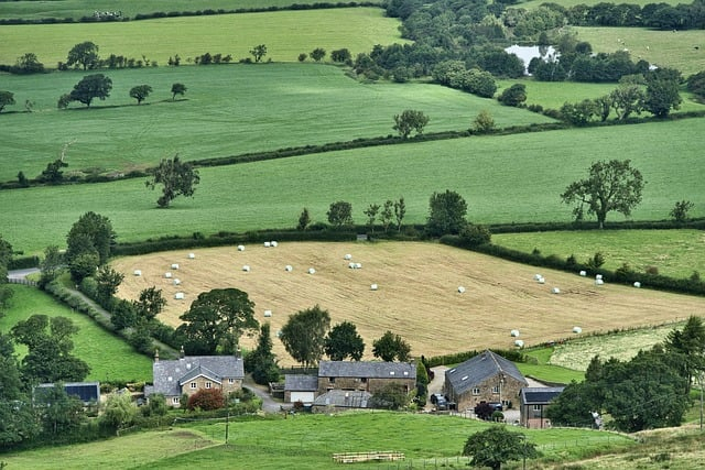 Les alternatives aux pesticides chimiques pour une agriculture plus durable