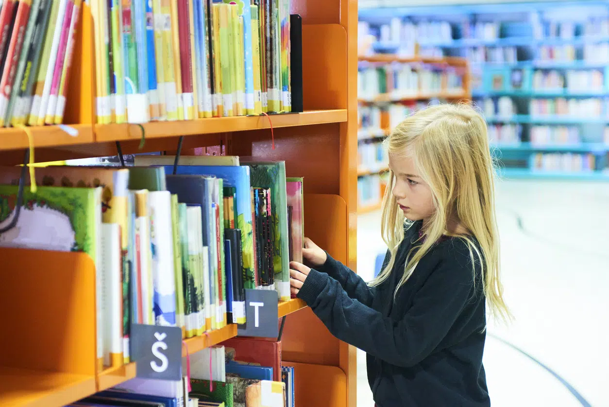 Comment choisir un mobilier adapté à l’organisation d’une médiathèque ?