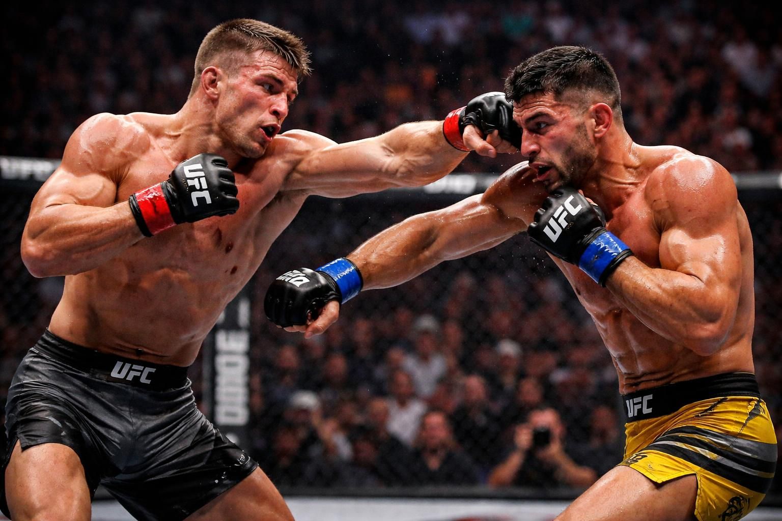 Classement poids léger en UFC : les défis qui attendent les rangs supérieurs