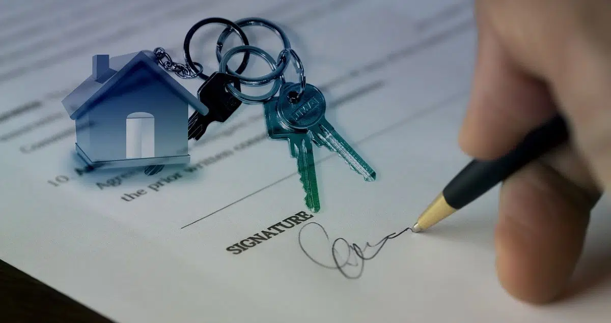 Immobilier