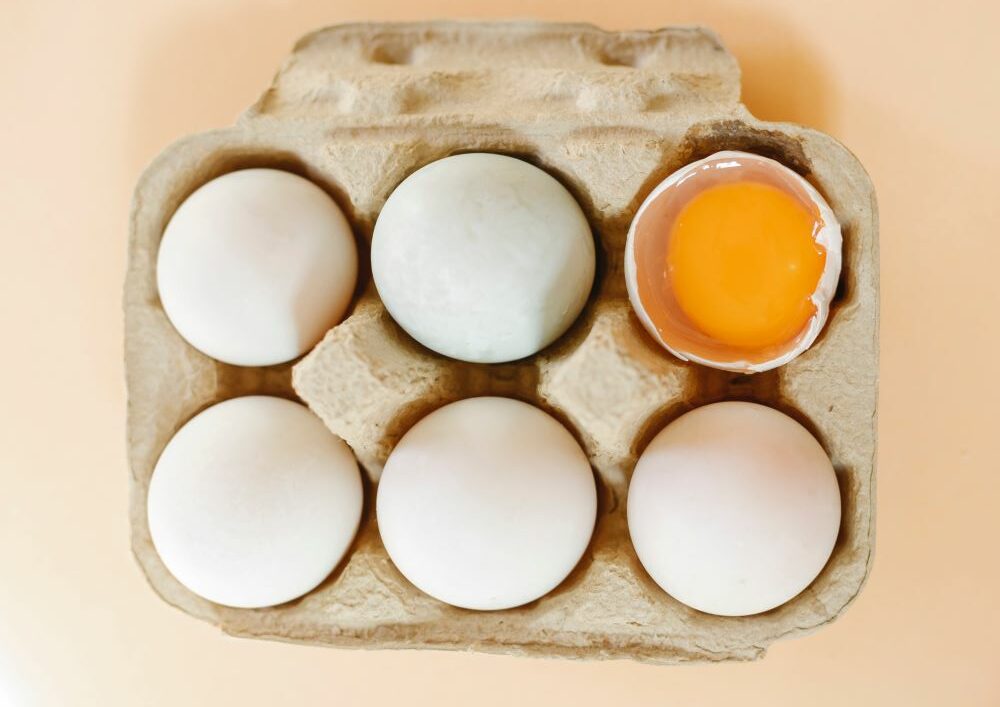 Œuf pourri : comment savoir si un œuf est périmé ?
