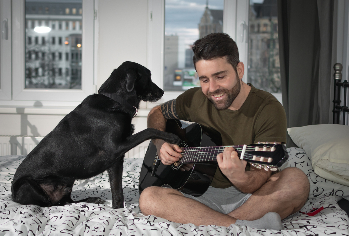 Quel type de musique permet au chien de se détendre en cas d’anxiété ?