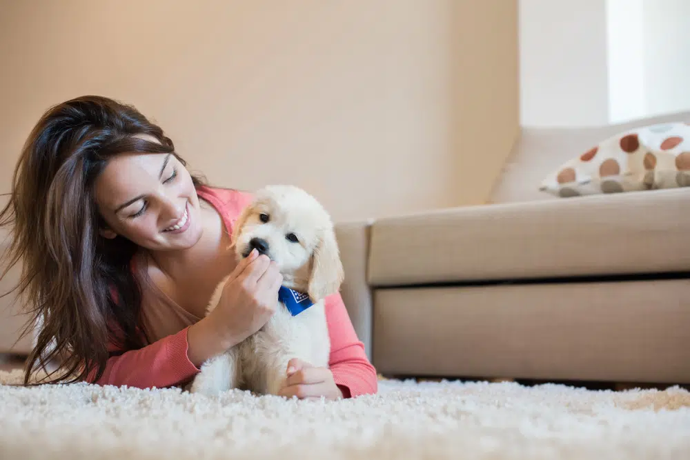 chiot à la maison