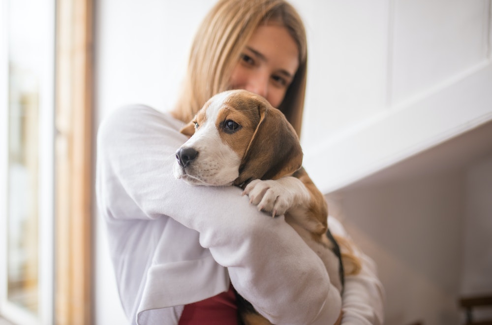 Comment éduquer un chiot lorsqu’on travaille toute la journée