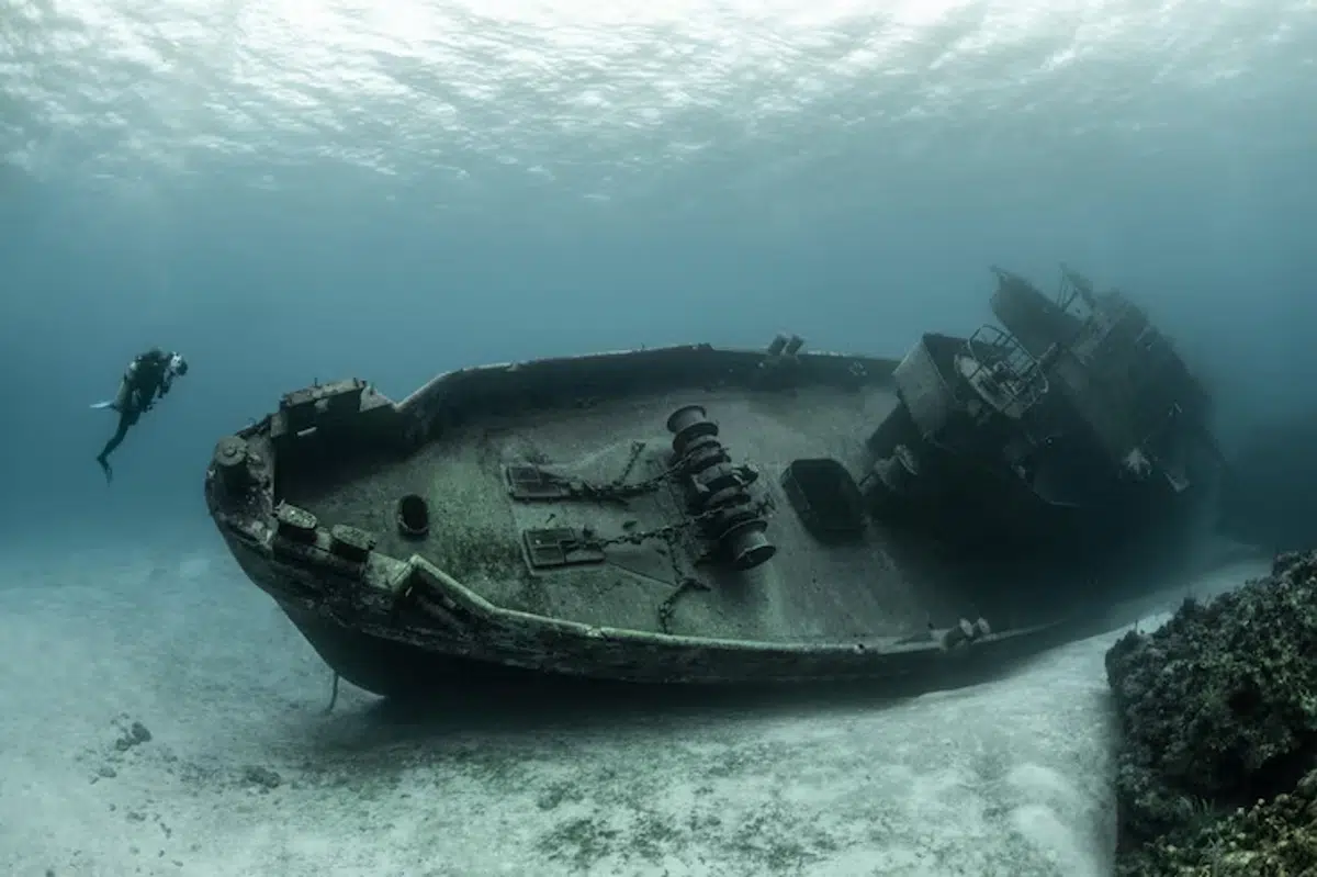 Lorsque l’épave du Titanic a été localisée, à ton trouvé des restes humains ? Lorsque l’épave du Titanic a été localisée, à ton trouvé des restes humains ?