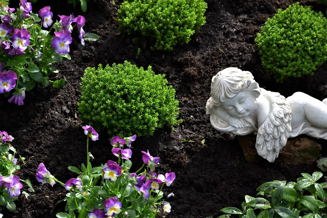 fleur cimetiere