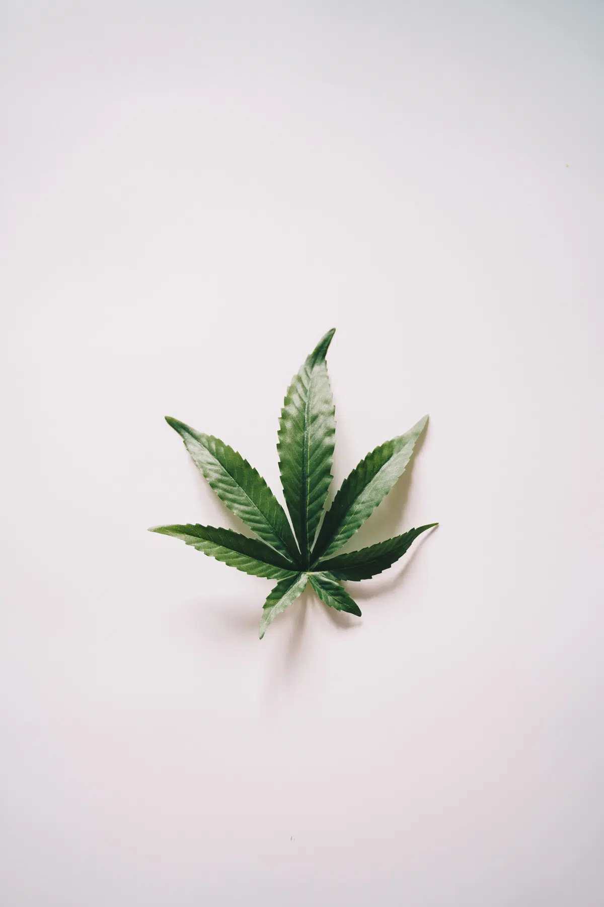 huile CBD full spectrum