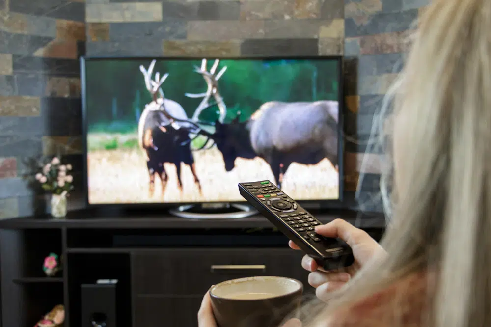 la télévision