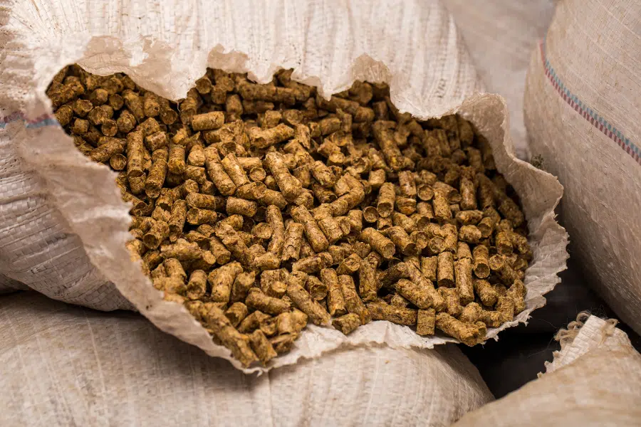 Livraison pellet Belgique : comment ça se passe ? Livraison pellet Belgique : comment ça se passe ?