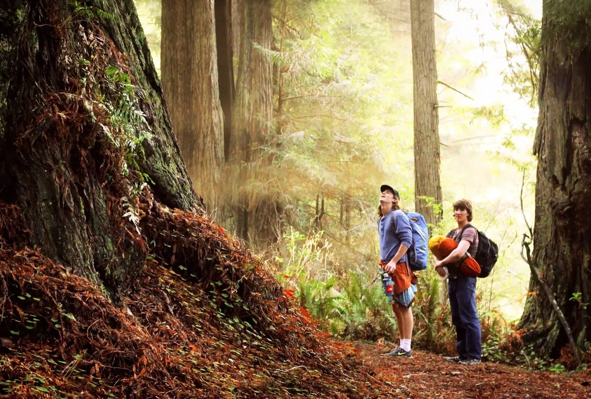 nature en Californie