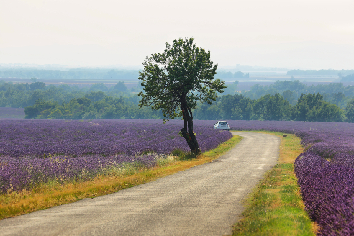 planifier road trip