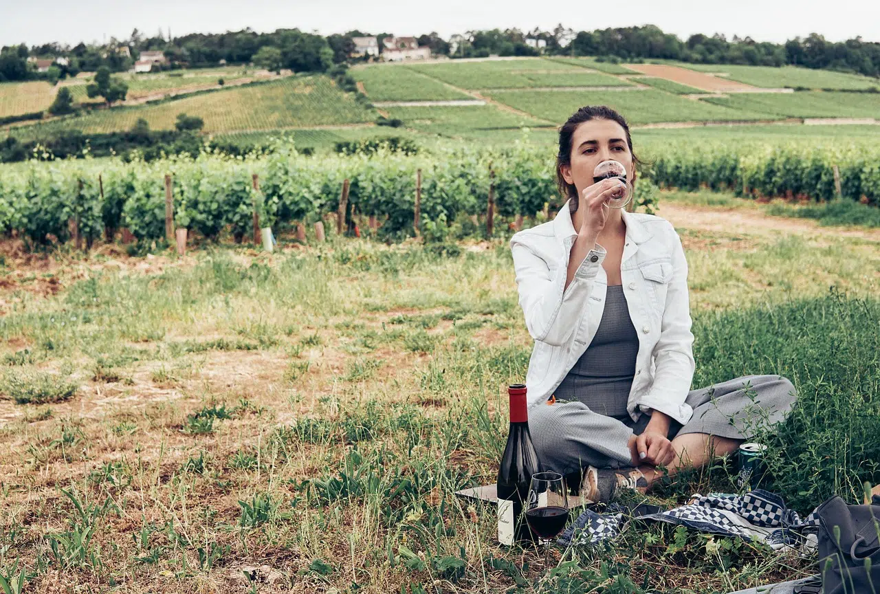 Quel est le terroir idéal pour la production de vin de Bordeaux ? Quel est le terroir idéal pour la production de vin de Bordeaux ?