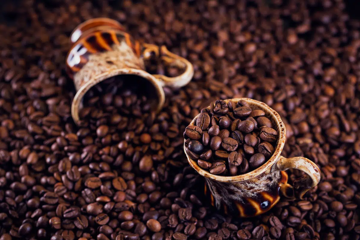 Pourquoi torréfier le café ? Pourquoi torréfier le café ?