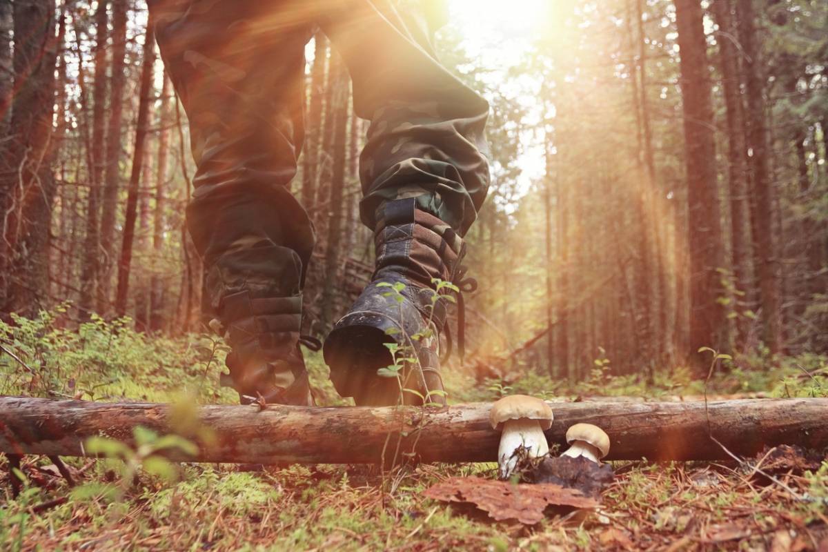 Chasseur : 4 conseils pour préserver la santé de vos oreilles